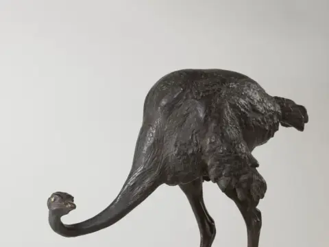 Proud Ostrich and Angry Tiger
